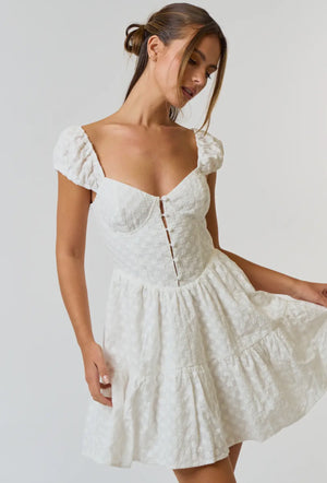 Cotton Eyelet Puff Sleeve Babydoll Dress