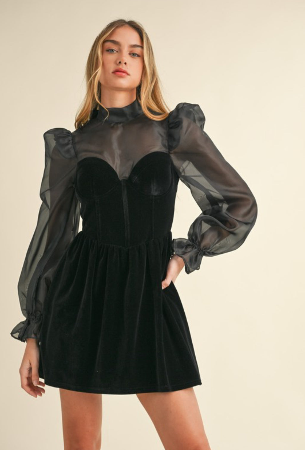 BLACK ROSE ORGANZA PUFF SLEEVE VELVET DRESS