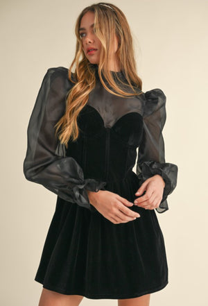 BLACK ROSE ORGANZA PUFF SLEEVE VELVET DRESS