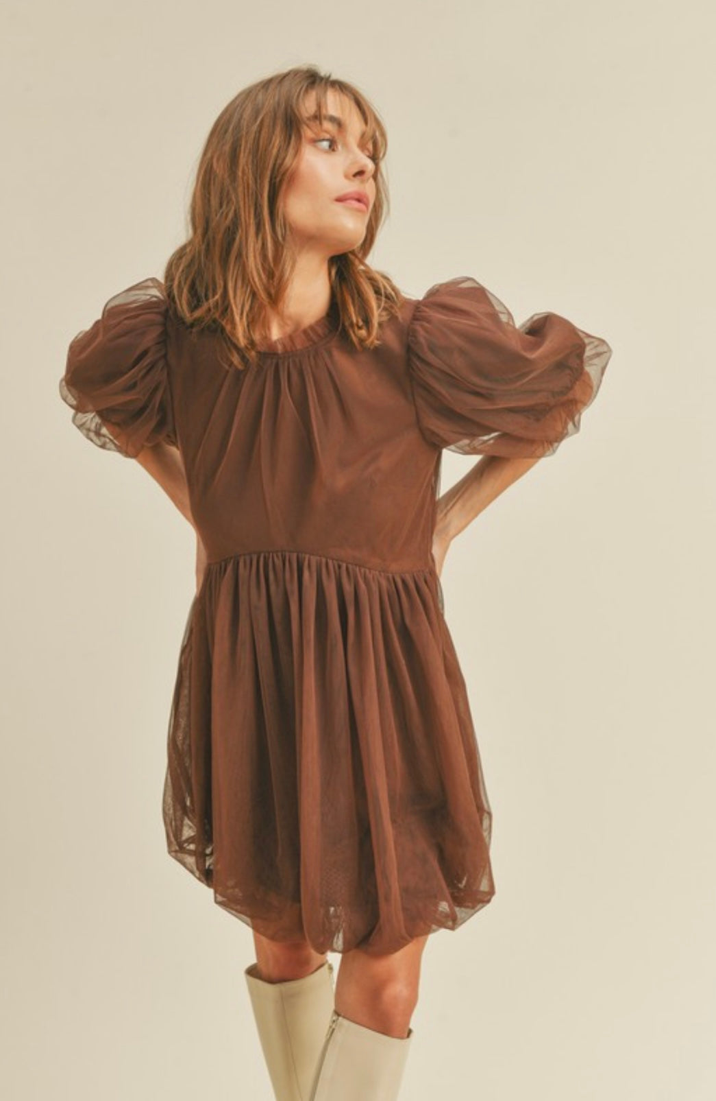 puff mesh dress Ariella Round Neck Mesh Embroidered Puff Sleeve Dress